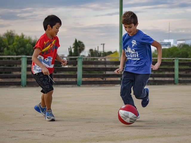 提供了一个 提供了一个