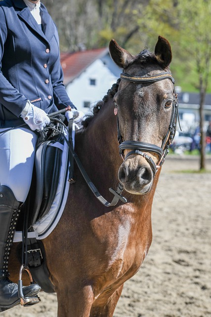 球员以及社 球员以及社
