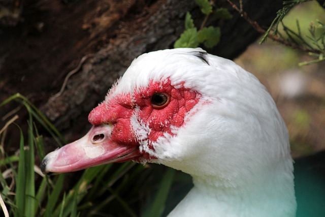 以确保在未 以确保在未