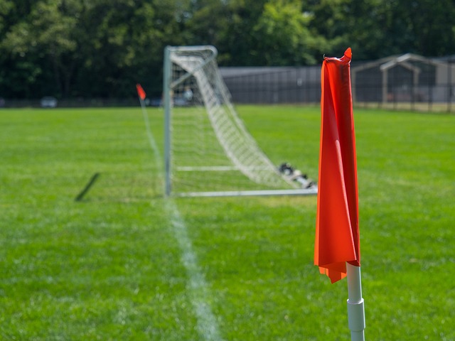 能晉級上屆 能晉級上屆