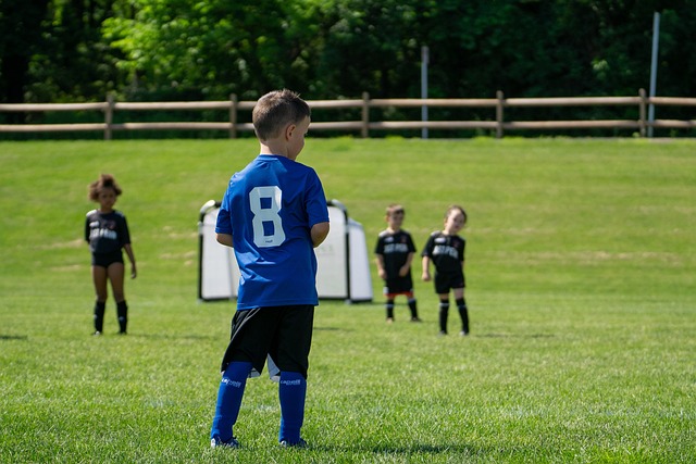 作为这项运 作为这项运