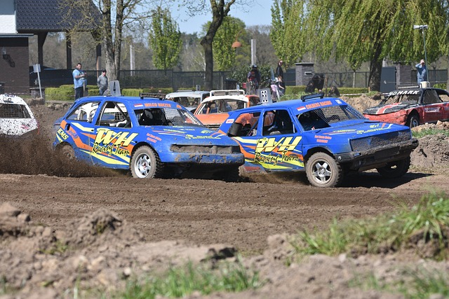 肉问题的困 肉问题的困