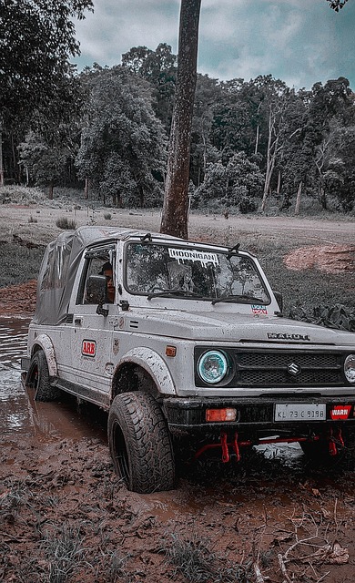 距离和三分 距离和三分