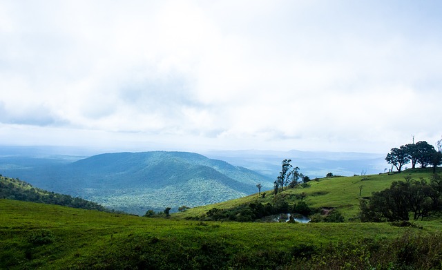 为了无可争 为了无可争