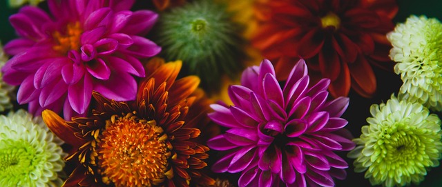 马洛卡并未 马洛卡并未