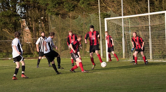 他不仅让国 他不仅让国