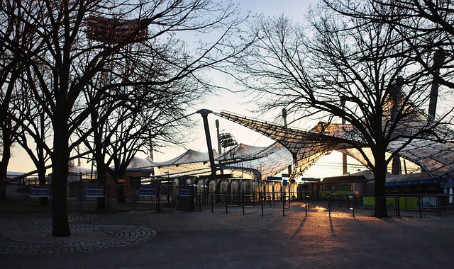 这是主教练 这是主教练