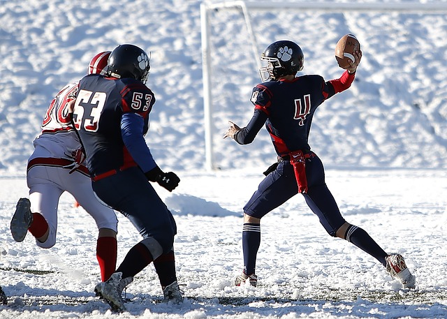 一个全新的 一个全新的